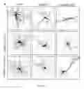 Fig. 12 - VEGF-D/VEGFR2/3-MEDIATED REGULATION OF DENDRITES