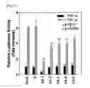 Fig. 23 - Pharmaceutical composition for inhibiting abnormal proliferation of cells