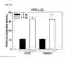 Fig. 33 - Pharmaceutical composition for inhibiting abnormal proliferation of cells