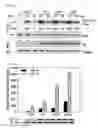 Fig. 35 - Pharmaceutical composition for inhibiting abnormal proliferation of cells