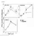 Fig. 41 - Pharmaceutical composition for inhibiting abnormal proliferation of cells