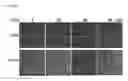Fig. 50 - Pharmaceutical composition for inhibiting abnormal proliferation of cells