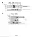 Fig. 06 - METHODS FOR TREATING DISEASES