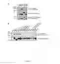 Fig. 07 - METHODS FOR TREATING DISEASES