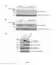 Fig. 10 - METHODS FOR TREATING DISEASES
