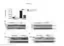 Fig. 17 - METHODS FOR TREATING DISEASES
