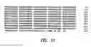 Fig. 08 - NOVEL STREPTOCOCCUS ANTIGENS