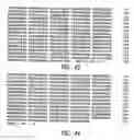 Fig. 30 - NOVEL STREPTOCOCCUS ANTIGENS