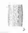 Fig. 02 - Absorbent structure