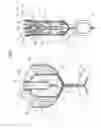 Fig. 08 - Rich-lean combustion burner