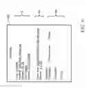 Fig. 09 - System, method and apparatus for automatic generation of remedial training