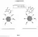 Fig. 03 - Spatially resolved ligand-receptor binding assays
