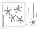 Fig. 19 - Spatially resolved ligand-receptor binding assays