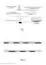 Fig. 02 - High throughput screening of genetically modified photosynthetic organisms