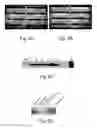 Fig. 06 - High throughput screening of genetically modified photosynthetic organisms