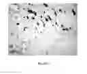 Fig. 06 - DETECTION OF UNHEALTHY BONE MARROW-DERIVED CELL FOR DISEASE PREDISPOSITIONS