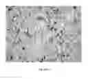 Fig. 09 - DETECTION OF UNHEALTHY BONE MARROW-DERIVED CELL FOR DISEASE PREDISPOSITIONS