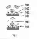 Fig. 02 - Method for detecting an antigen