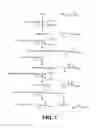 Fig. 02 - MICROORGANISMS FOR THE PRODUCTION OF ADIPIC ACID AND OTHER COMPOUNDS