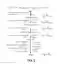 Fig. 03 - MICROORGANISMS FOR THE PRODUCTION OF ADIPIC ACID AND OTHER COMPOUNDS