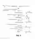 Fig. 04 - MICROORGANISMS FOR THE PRODUCTION OF ADIPIC ACID AND OTHER COMPOUNDS