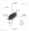 Fig. 09 - RNAI IN BUDDING YEAST