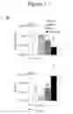 Fig. 02 - Methods and compositions for stem cell self-renewal