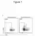 Fig. 06 - Methods and compositions for stem cell self-renewal