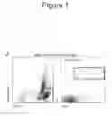 Fig. 07 - Methods and compositions for stem cell self-renewal