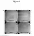 Fig. 09 - Methods and compositions for stem cell self-renewal