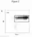 Fig. 12 - Methods and compositions for stem cell self-renewal