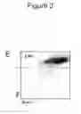 Fig. 20 - Methods and compositions for stem cell self-renewal
