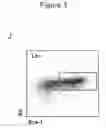 Fig. 25 - Methods and compositions for stem cell self-renewal