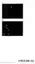 Fig. 43 - Angiogenin Expression in Plants
