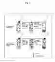 Fig. 02 - Method of diagnosing renal dysfunction in a cat based on non-cauxin protein levels