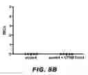 Fig. 09 - Compounds and methods for treating bacterial infections