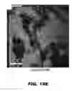 Fig. 28 - Compounds and methods for treating bacterial infections