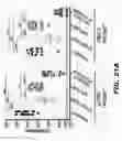 Fig. 33 - Compounds and methods for treating bacterial infections