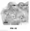 Fig. 35 - Compounds and methods for treating bacterial infections