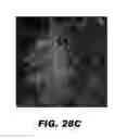 Fig. 44 - Compounds and methods for treating bacterial infections