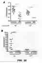 Fig. 46 - Compounds and methods for treating bacterial infections