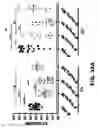 Fig. 49 - Compounds and methods for treating bacterial infections
