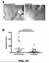 Fig. 52 - Compounds and methods for treating bacterial infections