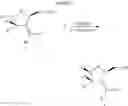 Fig. 08 - NOVEL 3'-DEOXY-3'-METHYLIDENE-BETA-L-NUCLEOSIDES