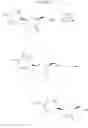 Fig. 43 - NOVEL 3'-DEOXY-3'-METHYLIDENE-BETA-L-NUCLEOSIDES