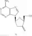 Fig. 46 - NOVEL 3'-DEOXY-3'-METHYLIDENE-BETA-L-NUCLEOSIDES