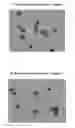 Fig. 01 - Method for inhibition of tumor cell growth using (22R)-5α-lanosta-8,24-dien-3β,15α,21-triol