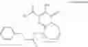 Fig. 13 - HIV integrase inhibitors