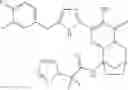 Fig. 40 - HIV integrase inhibitors
