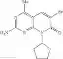 Fig. 22 - 4-methylpyridopyrimidinone compounds